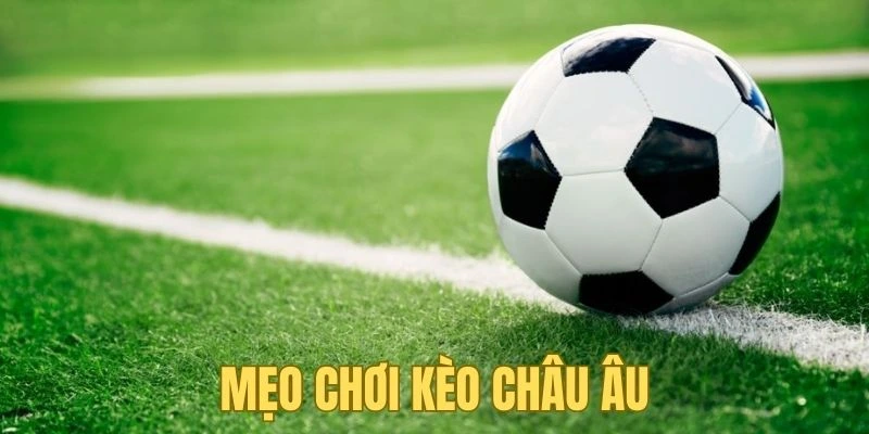 Mẹo phân tích chuyên sâu dành cho tân thủ 1x2