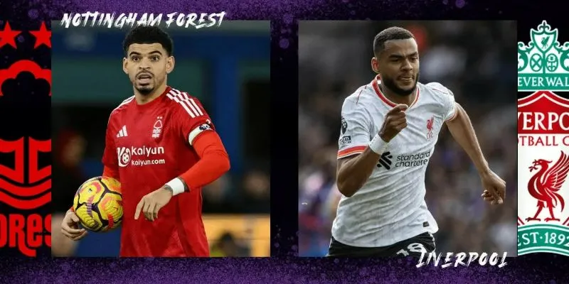 Nhận định Liverpool vs Nottingham chính xác 100%